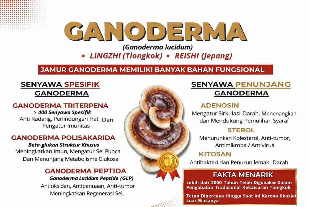 Ganoderma manfaat kesehatan Kopi Juwara Shuang Hor Bogor