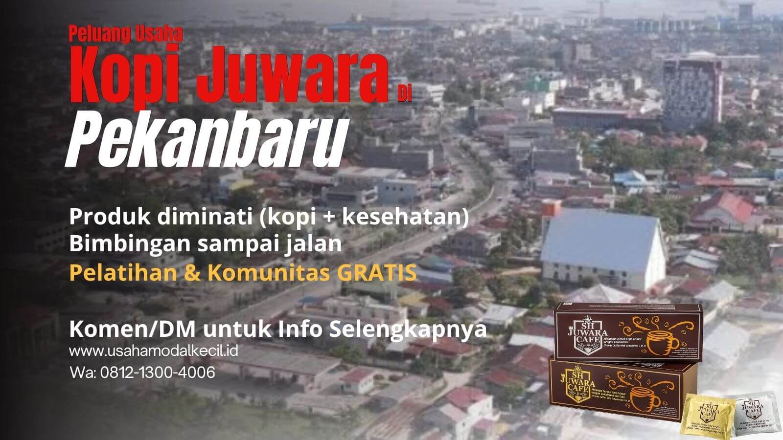 Peluang Usaha yang Menjanjikan di Pekanbaru